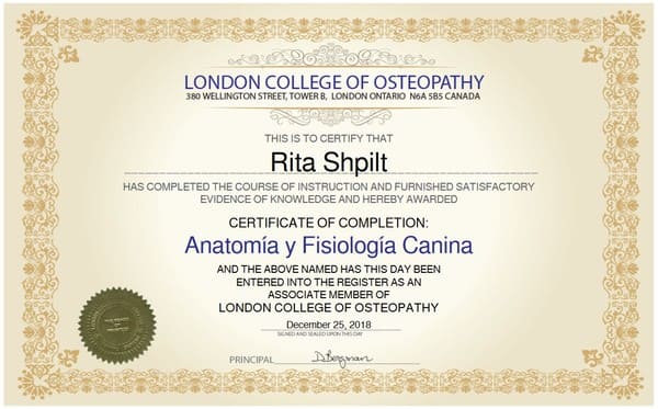 Anatomía y Fisiología Canina - Certificado