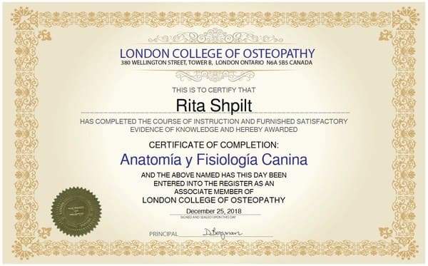 Anatomía y Fisiología Canina - Certificado